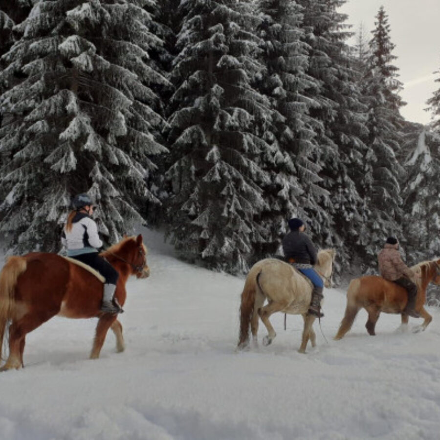 Frühstück mit Reiten