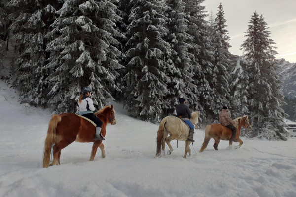 Frühstück mit Reiten - Chalet Cridola