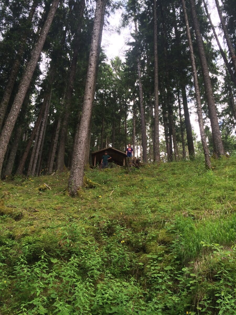 Sentiero Giovanni Paolo II (Lorenzago) - Chalet Cridola